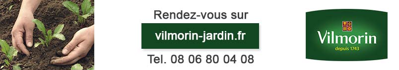 Semillas De Borraja Officinalis Sobre - VILMORIN